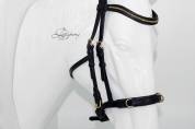 Academic cavesson noseband Lazypony / Muserola cavesson