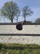 Sella da salto ostacoli Prestige Italia  17.5" - 2000