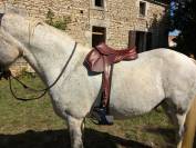 Selle DEVOUCOUX 2023