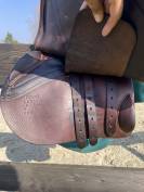 Selle forestier S&eacute;oul C 