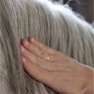 S&eacute;rum Sublime Crins 50ml - Nellumbo - 100% Naturel