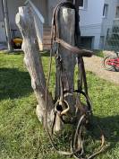 Ensemble Antar&egrave;s complet &ndash; Selle + Bavette + Filet