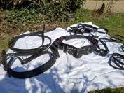 Harnais d'attelage en cuir Taille COB