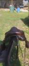 SELLE FORESTIER BOECKELO 17"