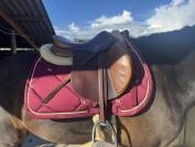 Selle Antares Altair