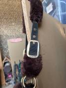 Licol Kentucky mouton