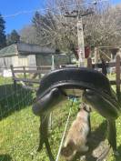 Selle monoquartier Forestier Boeckelo 17