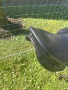 Selle monoquartier Forestier Boeckelo 17