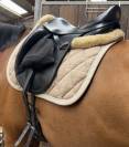 Selle de dressage &Eacute;quipe mod&egrave;le Olympia (2019) &ndash; 17"