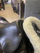 Selle forestier taille 17