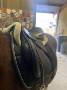 Selle forestier taille 17