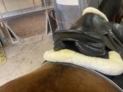 Selle forestier taille 17