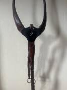 Collier de chasse antares 