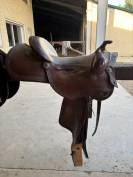 Selle all around western 