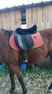 Selle de dressage Tekna