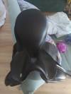 Selle de dressage Tekna