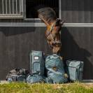 Licol rembourr&eacute; avec longe SS26 - QHP