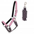 Licol rembourr&eacute; avec longe SS26 - QHP