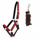 Licol rembourr&eacute; avec longe SS26 - QHP