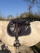 Selle rebelle (forestier)