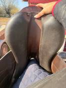 Selle rebelle (forestier)