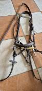 Bridon complet avec mors aiguille