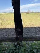 Selle Arena Pro Jump 17,5