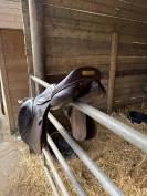 Selle Amerigo Pinerolo 17,5 