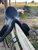 Selle dressage 