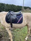 Selle CSO St&uuml;bben