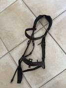 Filet Antares anatomique 