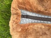 Amortisseur Mattes Dressage M