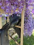 Selle de Dressage Zaldi New Kent - 16,5" 