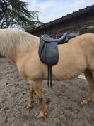 Selle de Dressage Zaldi New Kent - 16,5" 