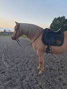 Selle de Dressage Zaldi New Kent - 16,5" 