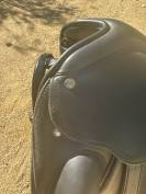 Dressage platinium Time rider 16,5 pouces noir