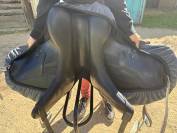 Dressage platinium Time rider 16,5 pouces noir