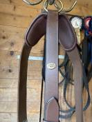 Collier de chasse 5 points + martingale taille cheval 