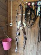 Collier de chasse 5 points + martingale taille cheval 