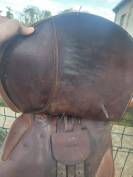 selle antares taille 17 pouces    Quartier 2A  De 2017