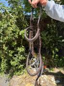 Filet anatomique HKM 