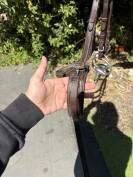 Filet anatomique HKM 