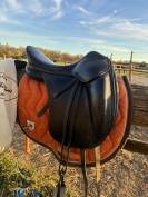 Chelderic Dac dressage 