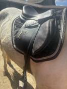 Selle rebelle R10 en 17,5