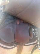 Selle rebelle R10 en 17,5