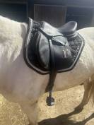 Selle rebelle R10 en 17,5