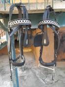 Finimenti carrozza completi in cuoio nero &ndash; misura COB 