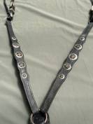 Collier de chasse &eacute;quitation  Cuir noir &eacute;toile en m&eacute;tal