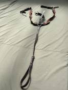 Collier de chasse &eacute;quitation  Cuir marron &eacute;lastique mar