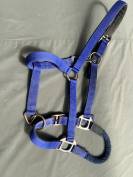 Licol combin&eacute; plat et corde &eacute;thologique &eacute;quitation  Ble